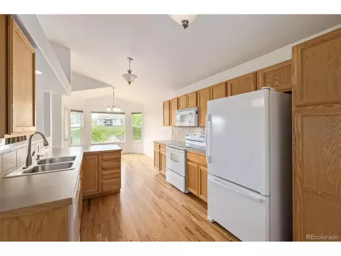 313 Windflower Way, Severance, CO 80550 photo 19
