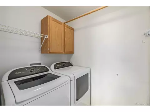 313 Windflower Way, Severance, CO 80550 photo 30
