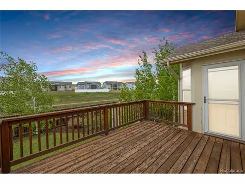 313 Windflower Way, Severance, CO 80550 photo 34