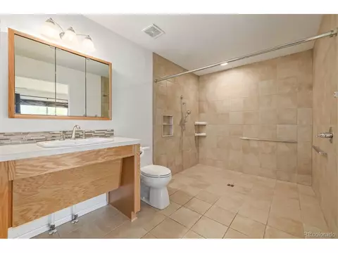 313 Windflower Way, Severance, CO 80550 photo 23