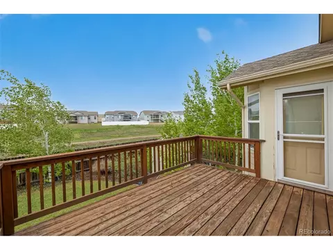 313 Windflower Way, Severance, CO 80550 photo 37