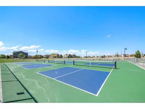 5686 Foxfire St, Timnath, CO 80547 photo 45