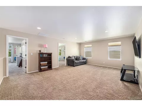 5686 Foxfire St, Timnath, CO 80547 photo 19