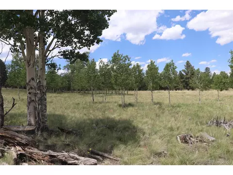 2178 Pitchfork Rd, Hartsel, CO 80449