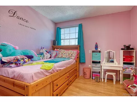 20950 45th Ave, Denver, CO 80249 photo 15
