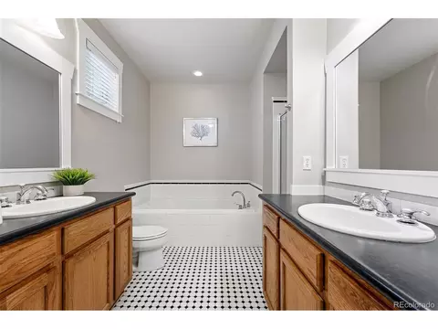 9134 E 29th Pl, Denver, CO 80238 photo 22