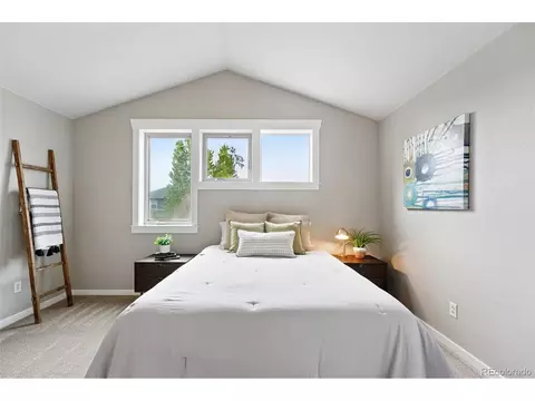 9134 E 29th Pl, Denver, CO 80238 photo 24