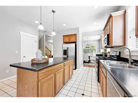9134 E 29th Pl, Denver, CO 80238 photo 13