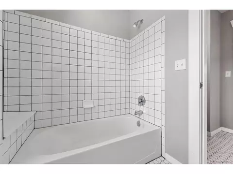 9134 E 29th Pl, Denver, CO 80238 photo 29