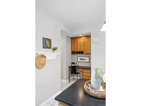 9134 E 29th Pl, Denver, CO 80238 photo 14