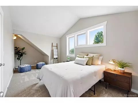 9134 E 29th Pl, Denver, CO 80238 photo 25