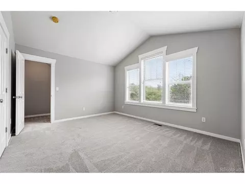 9134 E 29th Pl, Denver, CO 80238 photo 27
