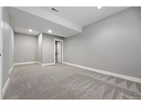 9134 E 29th Pl, Denver, CO 80238 photo 30