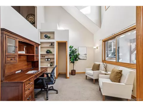 10120 Apache Spring Dr, Conifer, CO 80433 photo 14