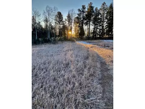 10120 Apache Spring Dr, Conifer, CO 80433 photo 45