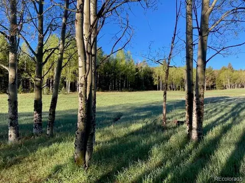 10120 Apache Spring Dr, Conifer, CO 80433 photo 48