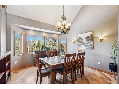10120 Apache Spring Dr, Conifer, CO 80433 photo 28