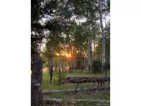 10120 Apache Spring Dr, Conifer, CO 80433 photo 46