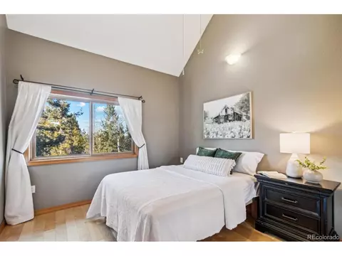 10120 Apache Spring Dr, Conifer, CO 80433 photo 24