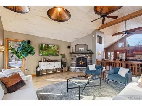 10120 Apache Spring Dr, Conifer, CO 80433 photo 18
