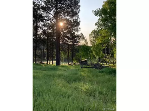 10120 Apache Spring Dr, Conifer, CO 80433 photo 43