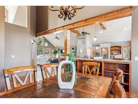 10120 Apache Spring Dr, Conifer, CO 80433 photo 27