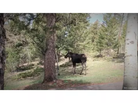 11639 Broken Arrow Dr, Conifer, CO 80433 photo 37
