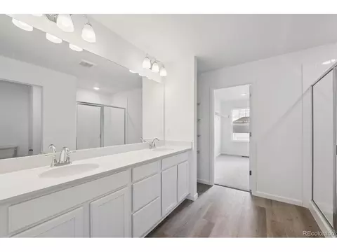 5635 Brangus Dr, Windsor, CO 80528 photo 14