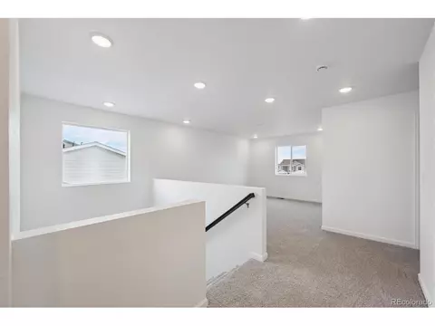 5635 Brangus Dr, Windsor, CO 80528 photo 11