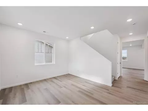 5635 Brangus Dr, Windsor, CO 80528 photo 4