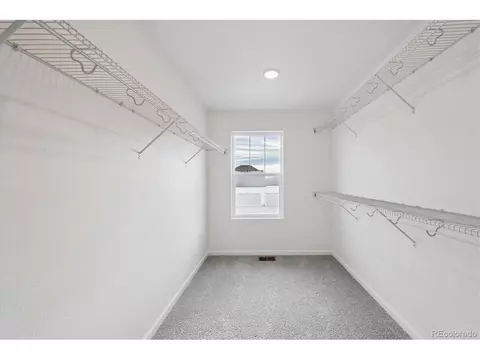 5635 Brangus Dr, Windsor, CO 80528 photo 16