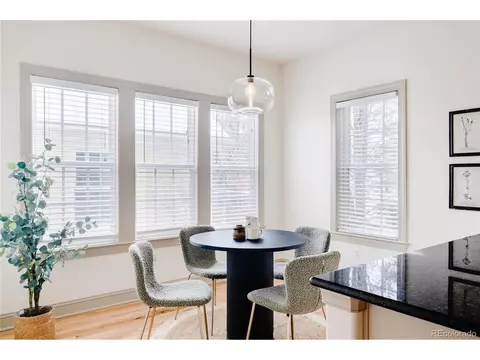 9740 E 35th Ave, Denver, CO 80238 photo 18