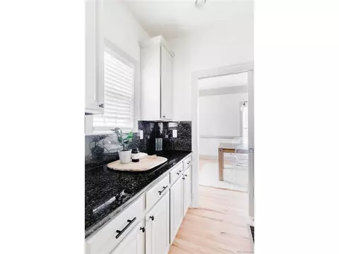 9740 E 35th Ave, Denver, CO 80238 photo 17
