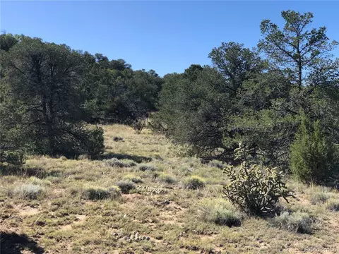 932 Rio Cucharas Phs 3, Walsenburg, CO 81089 photo 15