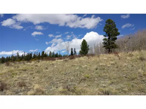 Foxtail Ct, Fairplay, CO 80440 photo 19