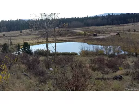 Foxtail Ct, Fairplay, CO 80440 photo 8