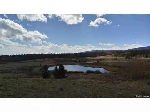 Foxtail Ct, Fairplay, CO 80440 photo 20
