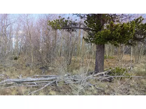 Foxtail Ct, Fairplay, CO 80440 photo 7