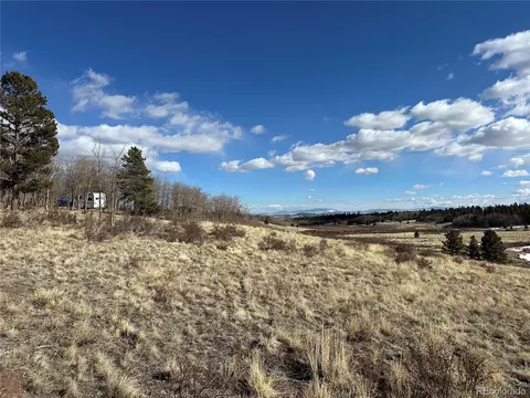 Foxtail Ct, Fairplay, CO 80440 photo 12