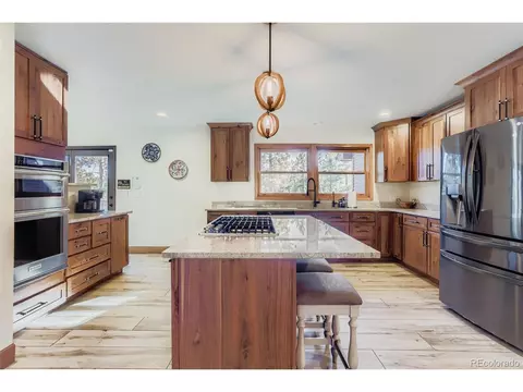 260 Old Corral Rd, Bailey, CO 80421 photo 5