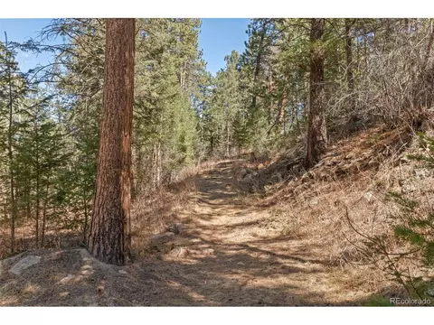 Other - 8722 S Ault Ln, Morrison, CO 80465 photo 13 of 16