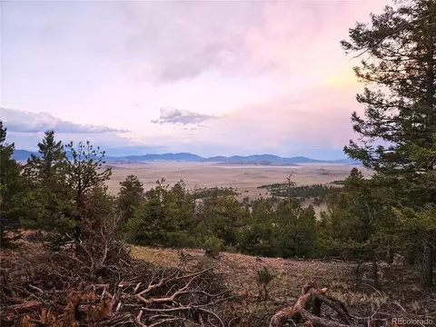 24807 Satanta Trl, Hartsel, CO 80449