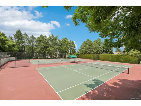 8501 Colonial Dr, Lone Tree, CO 80124 photo 47