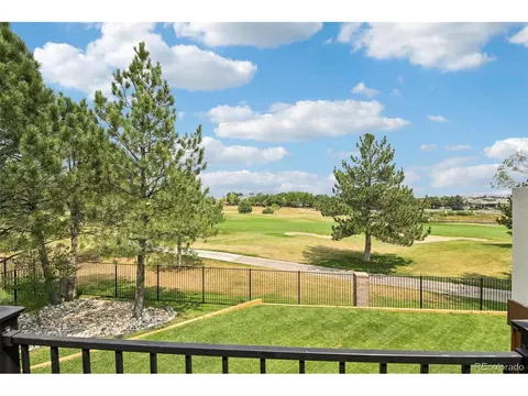 8501 Colonial Dr, Lone Tree, CO 80124 photo 40