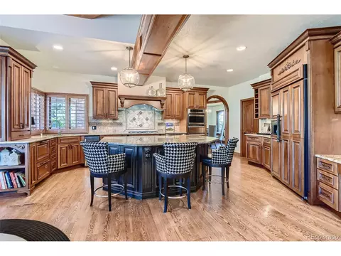8378 Colonial Dr, Lone Tree, CO 80124 photo 9
