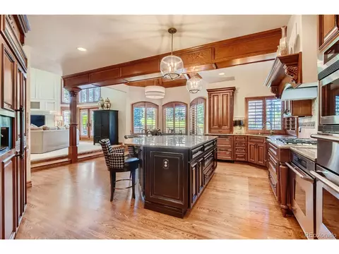 8378 Colonial Dr, Lone Tree, CO 80124 photo 10