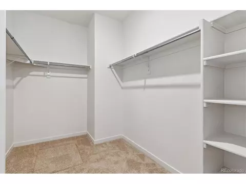 820 Elias Tarn Dr, Severance, CO 80550 photo 27