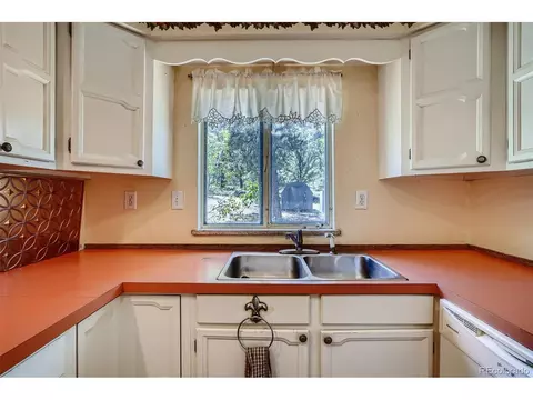 17 Bartimous Rd, Bailey, CO 80421 photo 11