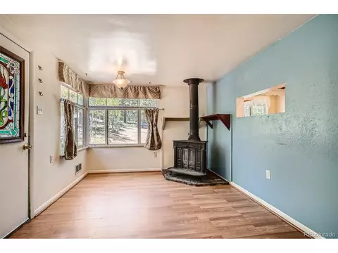 17 Bartimous Rd, Bailey, CO 80421 photo 14