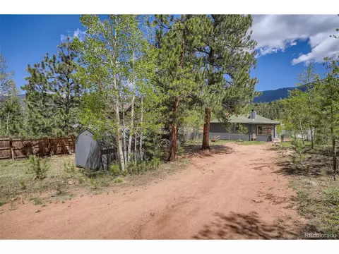 17 Bartimous Rd, Bailey, CO 80421 photo 3